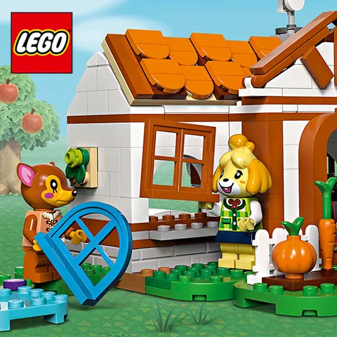 LEGO