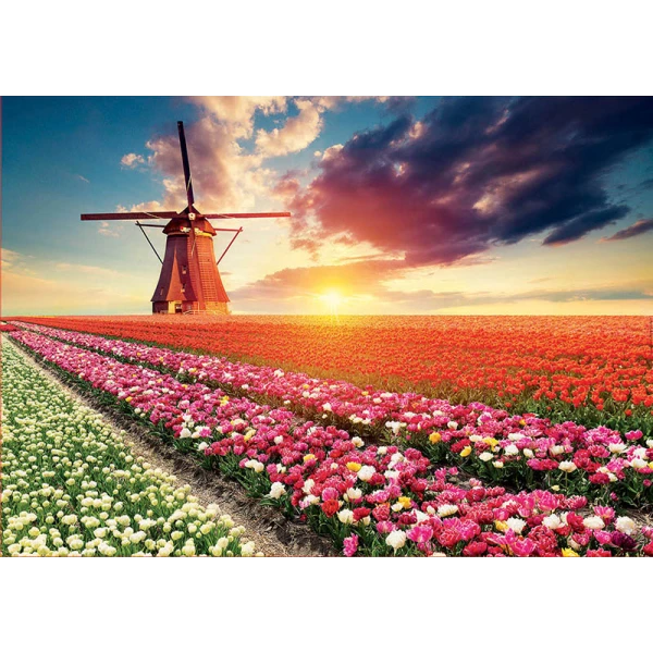 EDUCA PUZZLE 1500 pcs TULIPS LANDSCAPE