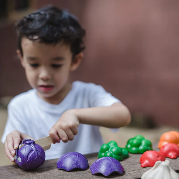 PLAN TOYS ΣΕΤ ΛΑΧΑΝΙΚΩΝ 5 ΧΡΩΜΑΤΑ