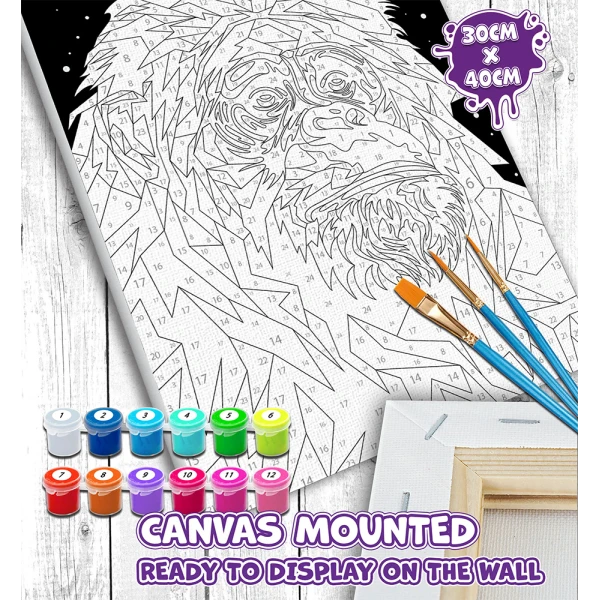SPLAT PLANET PAINTING BY NUMBERS KIT ON FRAMED CANVAS 40X30 cm ORANGUTAN