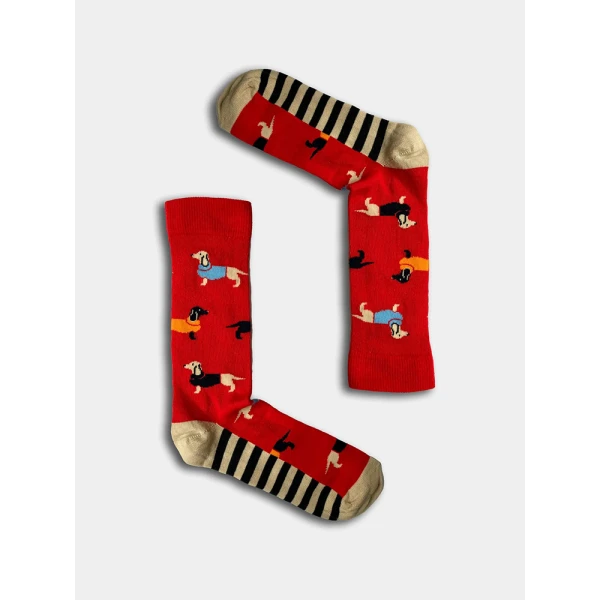 BOXT SOCKS UNISEX SOCKS Νο 39-44 MUTT HOUSE SOCKS