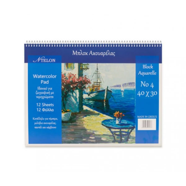 WATERCOLOR SPIRAL BLOCK N4 12 SHEETS 220gr 40X30 cm - 2 DESIGNS