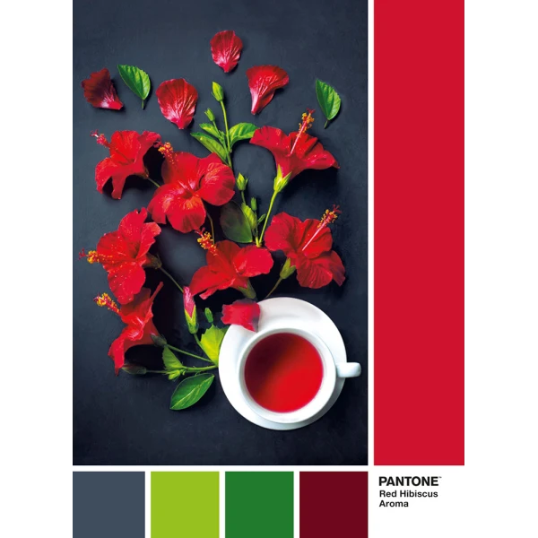 CLEMENTONI PUZZLE PANTONE RED HIBISCUS 1000 PCS