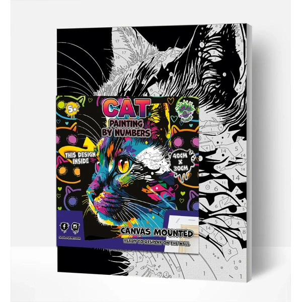 SPLAT PLANET PAINTING BY NUMBERS KIT ON FRAMED CANVAS 40X30 cm BRIGHT CAT