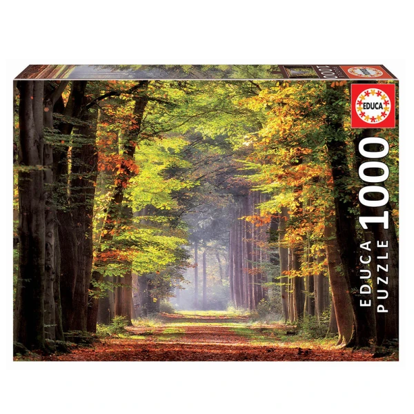 EDUCA ΠΑΖΛ 1000 τεμ. FALL WALKWAY