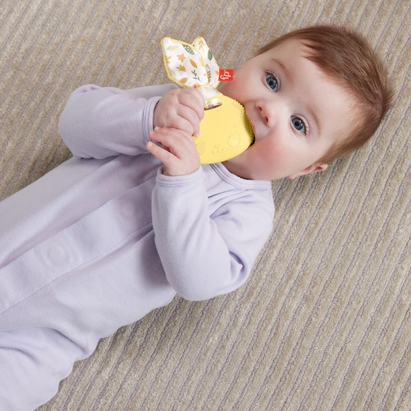 FISHER PRICE ΖΩΑΚΙΑ SENSIMALS - ΚΟΥΝΕΛΑΚΙ ΟΔΟΝΤΟΦΥΪΑΣ
