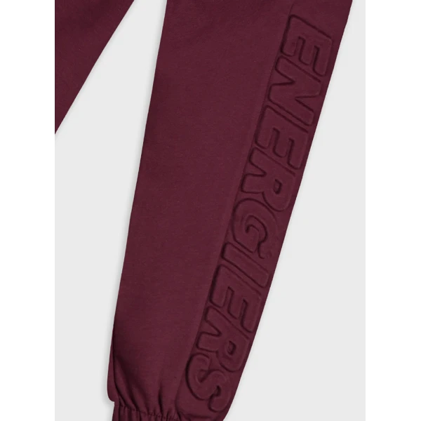 ENERGIERS TROUSERS BURGUNDY