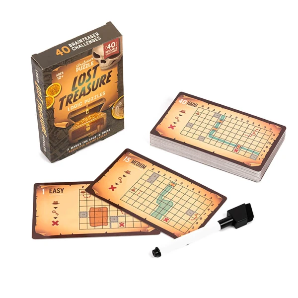 PROFESSOR PUZZLE LOST TREASURE LOGIC PUZZLES