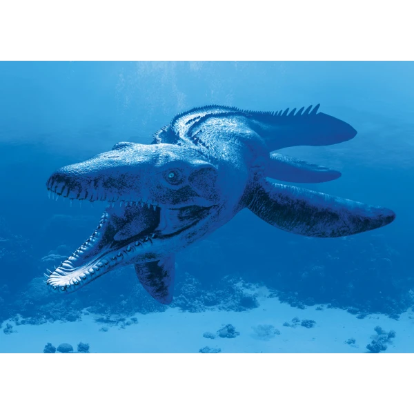 PUZZLE 117 pcs DINOSAURS 3