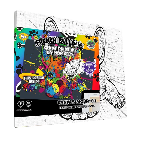 SPLAT PLANET PAINTING BY NUMBERS KIT ON FRAMED CANVAS 40X30 cm FRENCH BULLDOG