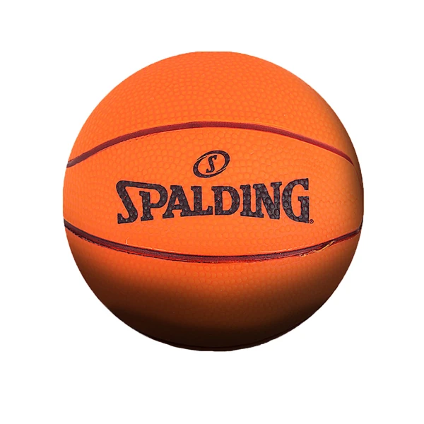 SPALDING NBA OVER THE DOOR SYSTEM