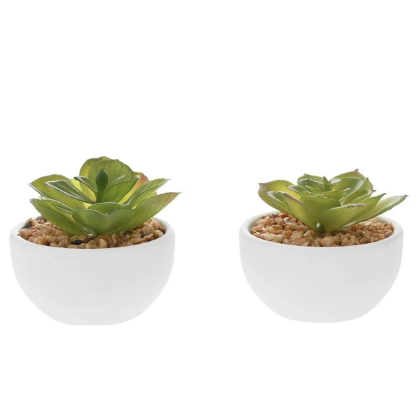  SUCCULENT PLANT 9CM IN WHITE PLASTIC POT D9X5CM IN 2 STYLES