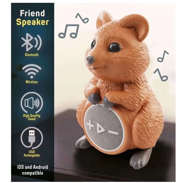 LISCIANI RAINY DAYS ΑΣΥΡΜΑΤΟ ΗΧΕΙΟ ΜΕ BLUETOOTH QUOKKA