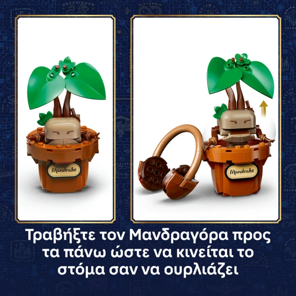LEGO® HARRY POTTER™ ΦΥΤΑ ΒΟΤΑΝΟΛΟΓΙΑΣ ΤΟΥ HOGWARTS™