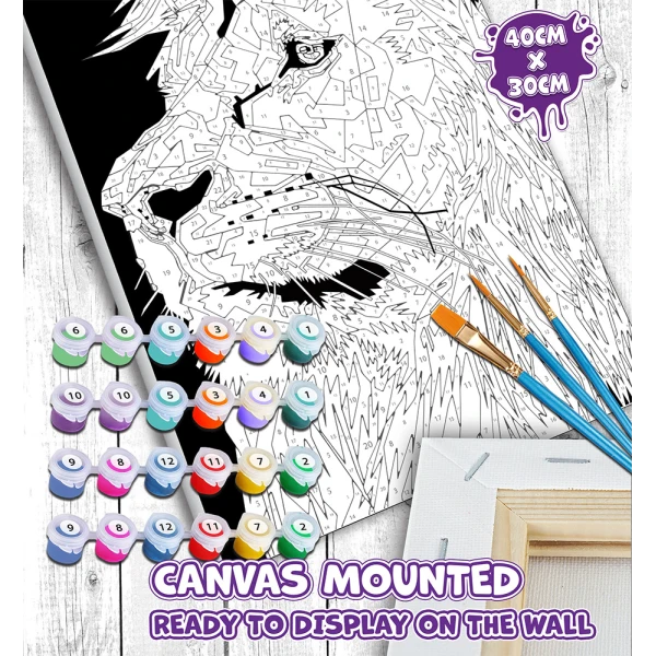 SPLAT PLANET PAINTING BY NUMBERS KIT ON FRAMED CANVAS 40X30 cm LION