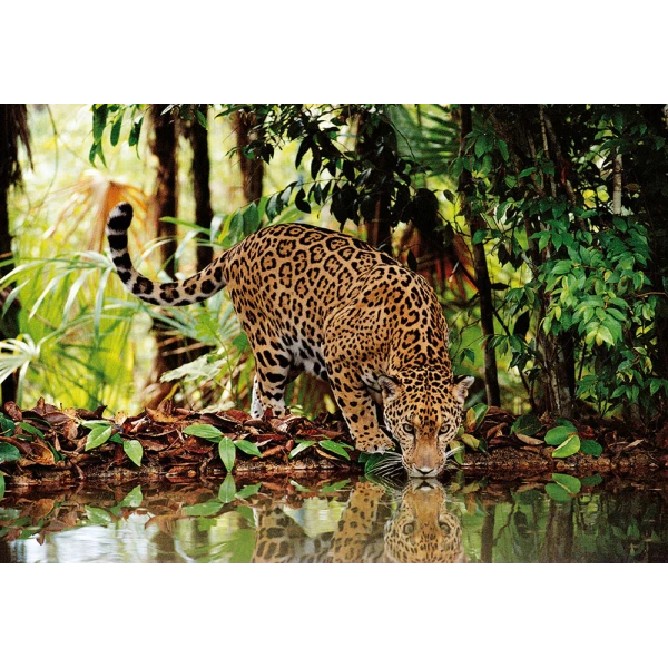 CLEMENTONI PUZZLE HIGH QUALITY COLLECTION LEOPARD 2000 PCS