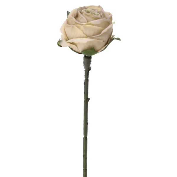 CREAM ROSE STEM 28 cm