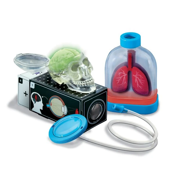 4M KIDZLABS BIOLOGY LABORATORY 