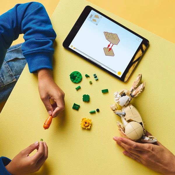 LEGO® CREATOR ΧΑΡΙΤΩΜΕΝΟ ΚΟΥΝΕΛΙ