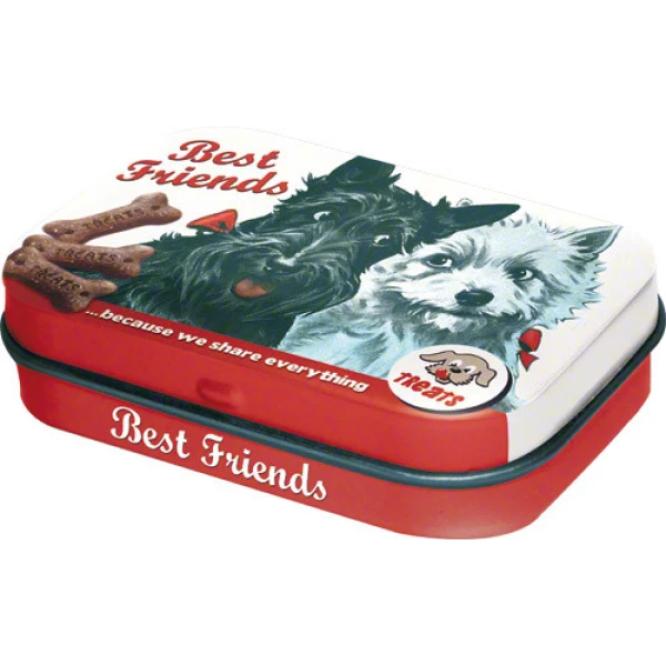 METAL BOX WITH HINGE BEST FRIENDS