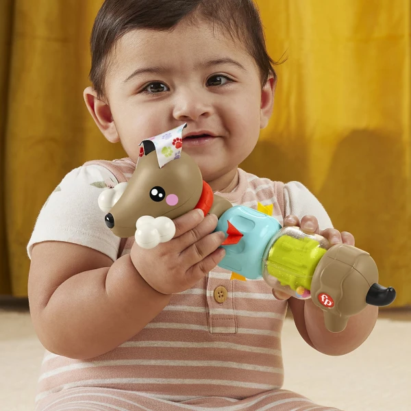 FISHER PRICE CLICK & SPIN ΣΚΥΛΑΚΙ ΔΡΑΣΤΗΡΙΟΤΗΤΩΝ 