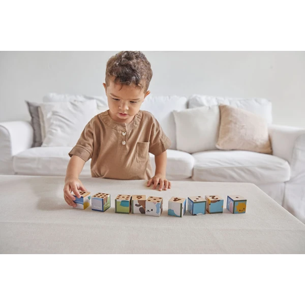 PLAN TOYS ΞΥΛΙΝΟ ΠΑΖΛ ΜΕ ΚΥΒΟΥΣ