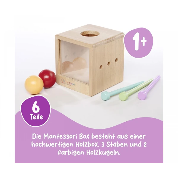 EICHHORN MONTESSORI EDUCATIONAL BOX WITH BALLS