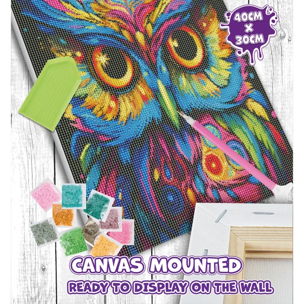 SPLAT PLANET DIAMOND PAINTING KIT ON FRAMED CANVAS 40X30 cm OWL