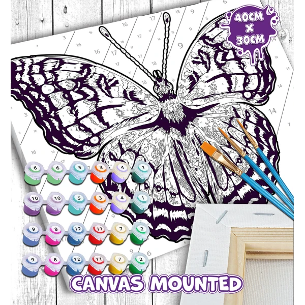 SPLAT PLANET PAINTING BY NUMBERS KIT ON FRAMED CANVAS 40X30 cm BUTTERFLY