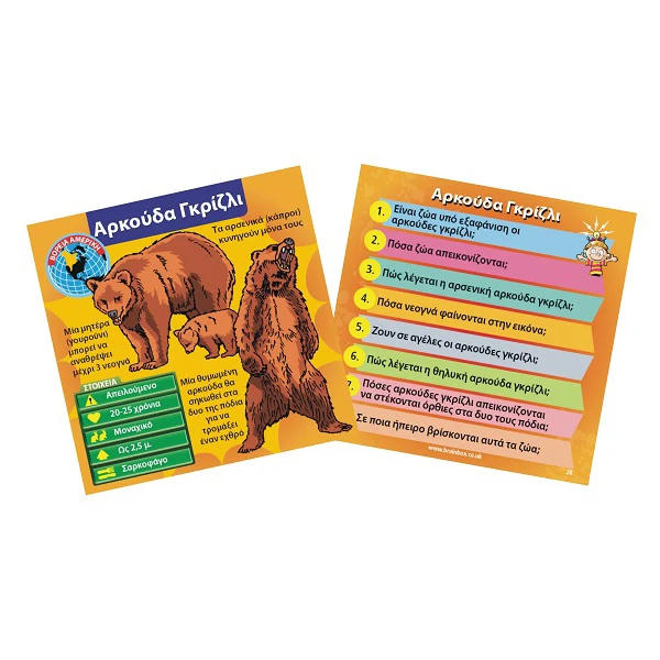 BRAINBOX TABLE GAME ANIMALS