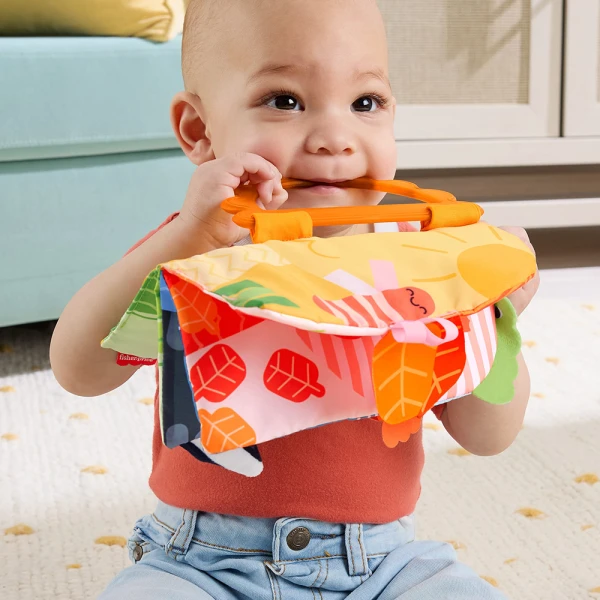 FISHER PRICE ΜΑΛΑΚΟ ΒΙΒΛΙΑΡΑΚΙ 4 ΕΠΟΧΕΣ