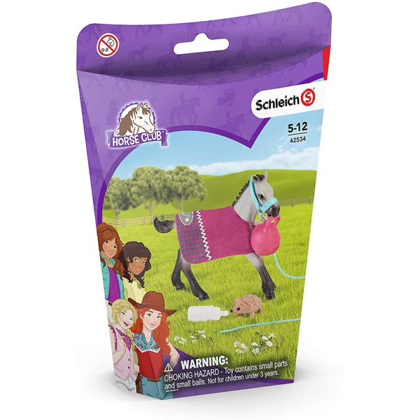 ΜΙΝΙΑΤΟΥΡΑ SCHLEICH ΠΑΙΧΝΙΔΙΑΡΙΚΟ ΠΟΥΛΑΡΙ ΜΕ ΑΞΕΣΟΥΑΡ