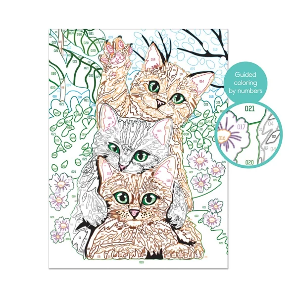 PAINT & FRAME PAINT BY NUMBERS FUNNY KITTIES FOR AGES 9+