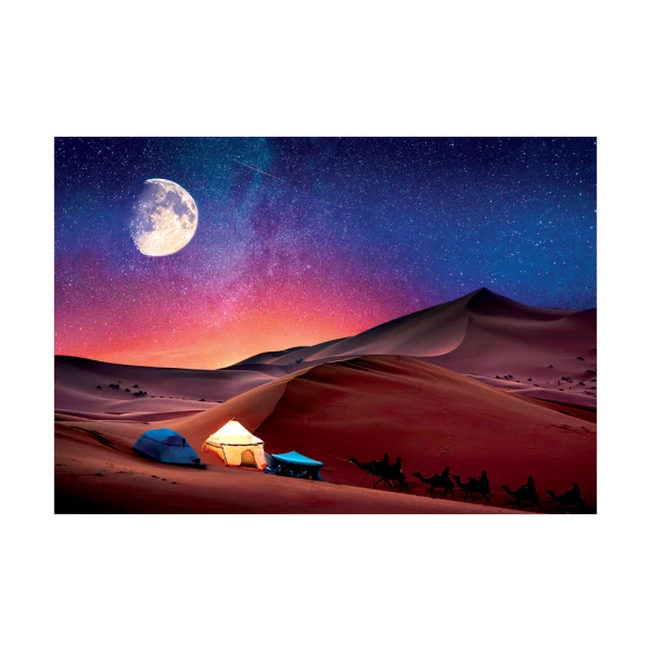 CLEMENTONI PEACE PUZZLE STARRY NIGHT 500 PCS