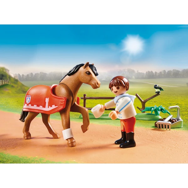 PLAYMOBIL COUNTRY COLLECTIBLE CONNEMARA PONY