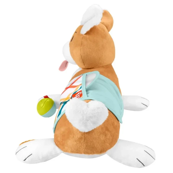 FISHER PRICE ΜΑΞΙΛΑΡΑΚΙ ΔΡΑΣΤΗΡΙΟΤΗΤΩΝ - ΣΚΥΛΑΚΙ