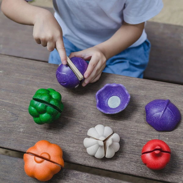 PLAN TOYS ΣΕΤ ΛΑΧΑΝΙΚΩΝ 5 ΧΡΩΜΑΤΑ