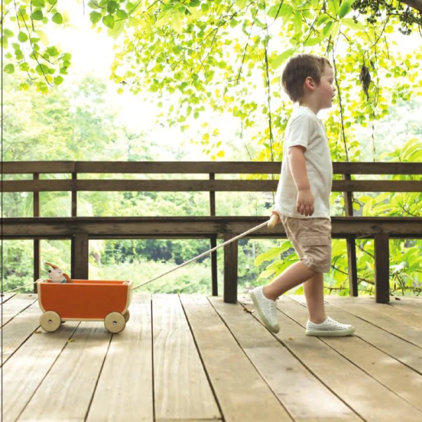 PLAN TOYS WOODEN BLACK WAGON