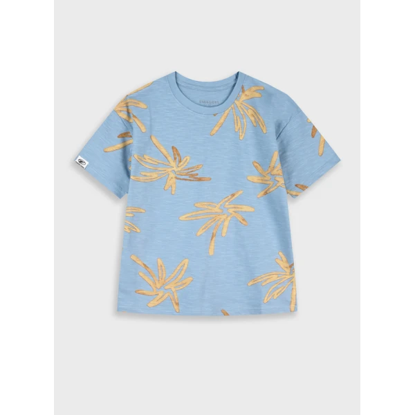 ENERGIERS BLOUSE BOY DUSTY BLUE