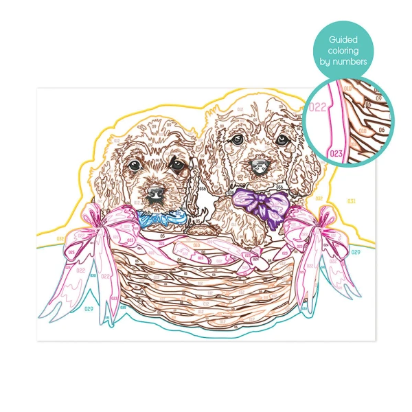 AS PAINT & FRAME ΑDORABLE PUPPIES ΓΙΑ 9+ ΧΡΟΝΩΝ