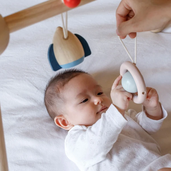 PLAN TOYS ΞΥΛΙΝΟ ΓΥΜΝΑΣΤΗΡΙΟ ΜΩΡΟΥ
