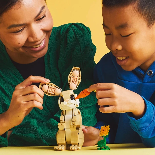 LEGO® CREATOR ΧΑΡΙΤΩΜΕΝΟ ΚΟΥΝΕΛΙ