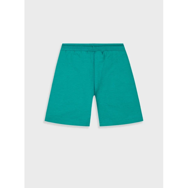 ENERGIERS BERMUDA GREEN