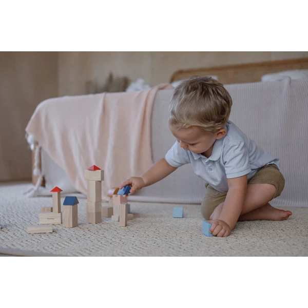 PLAN TOYS WOODEN COLOURED BRICKS