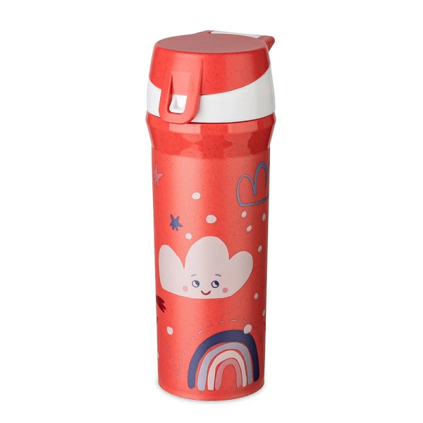 WATER BOTTLE 500ml STAN DREAMS
