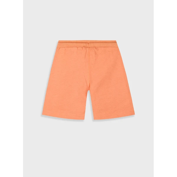 ENERGIERS BERMUDA APRICOT
