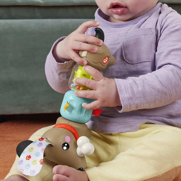 FISHER PRICE CLICK & SPIN ΣΚΥΛΑΚΙ ΔΡΑΣΤΗΡΙΟΤΗΤΩΝ 