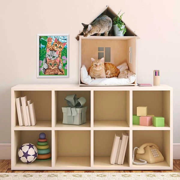 PAINT & FRAME PAINT BY NUMBERS FUNNY KITTIES FOR AGES 9+