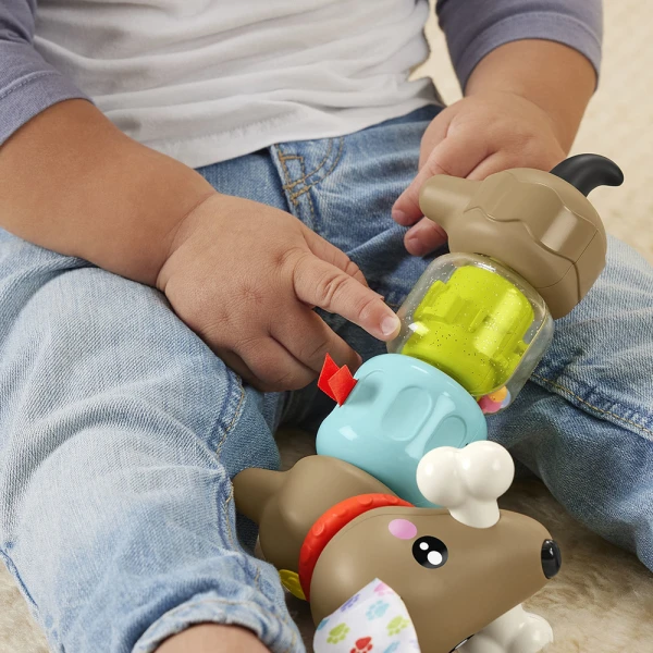 FISHER PRICE CLICK & SPIN ΣΚΥΛΑΚΙ ΔΡΑΣΤΗΡΙΟΤΗΤΩΝ 