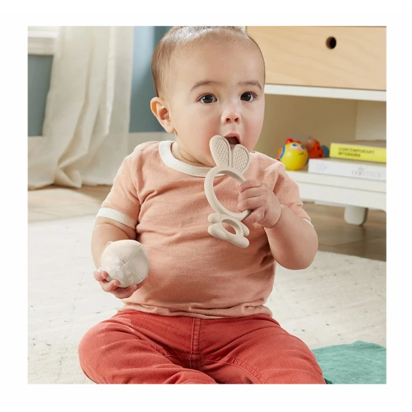 FISHER PRICE SENSIMALS ΣΕΤ ΔΩΡΟΥ